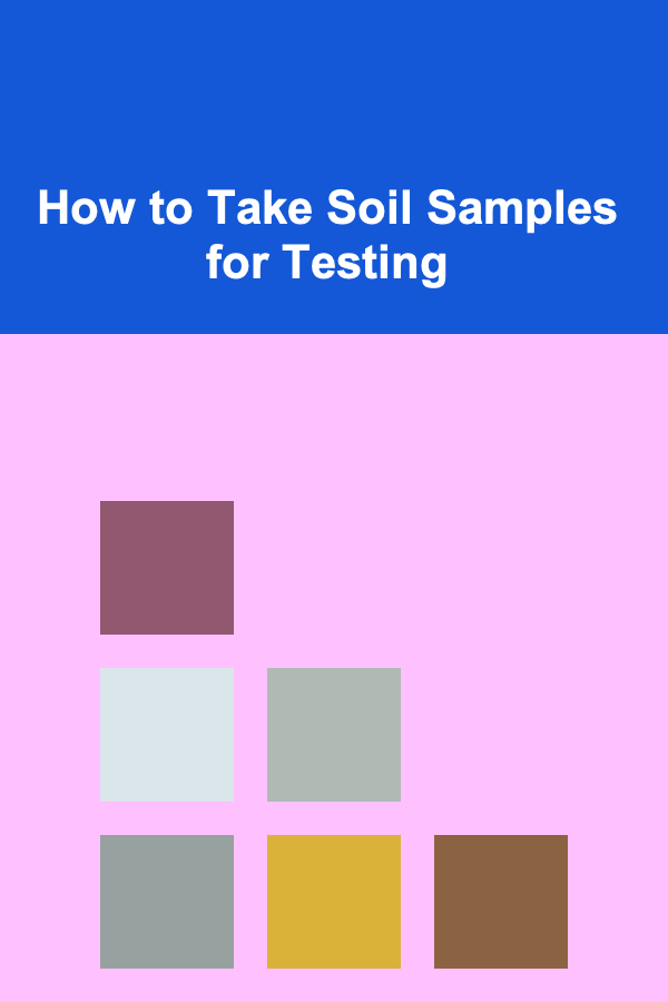 How to Take Soil Samples for Testing