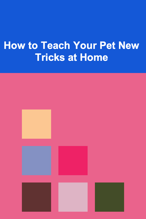 How to Teach Your Pet New Tricks at Home