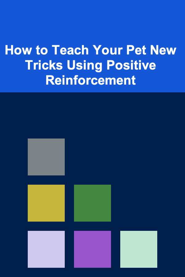How to Teach Your Pet New Tricks Using Positive Reinforcement