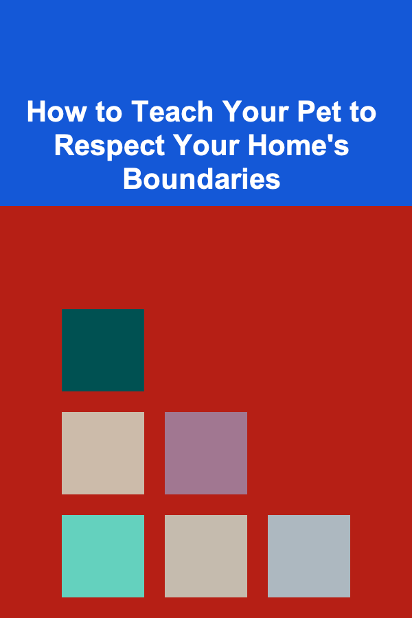 How to Teach Your Pet to Respect Your Home's Boundaries