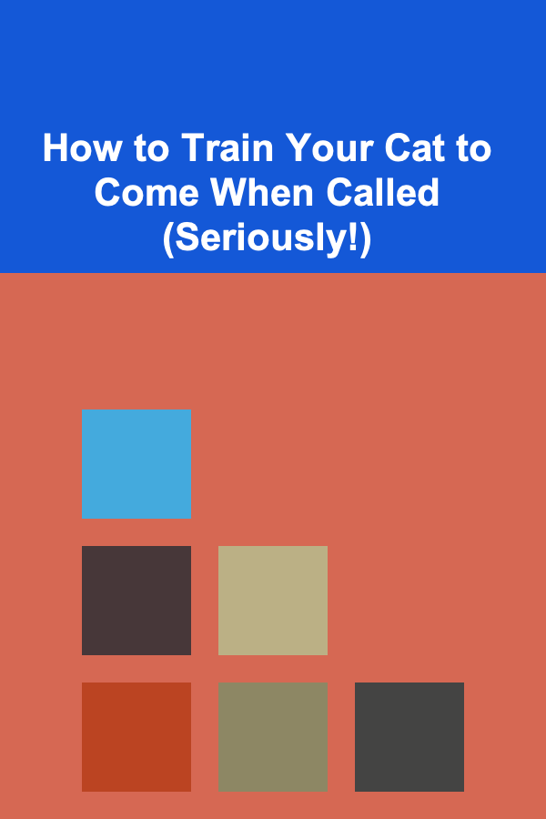 How to Train Your Cat to Come When Called (Seriously!)