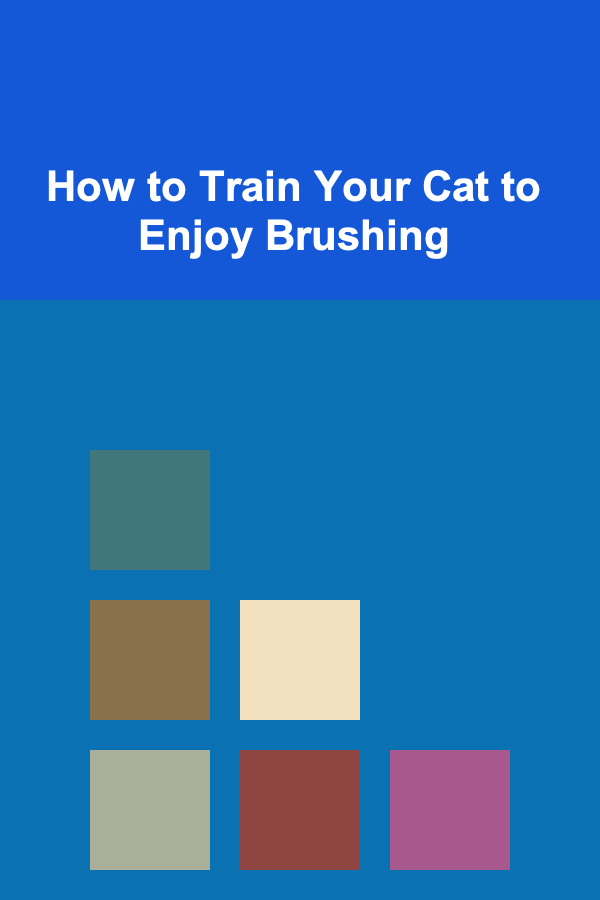 How to Train Your Cat to Enjoy Brushing