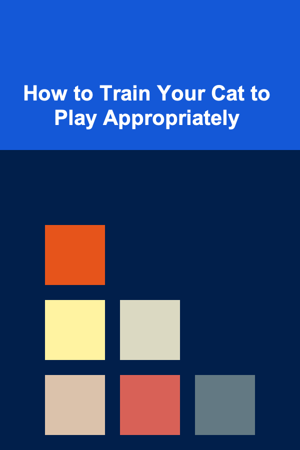 How to Train Your Cat to Play Appropriately
