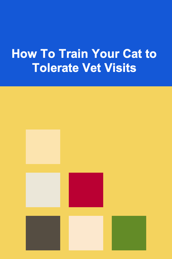 How To Train Your Cat to Tolerate Vet Visits