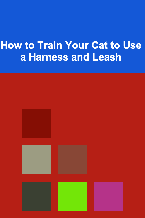 How to Train Your Cat to Use a Harness and Leash