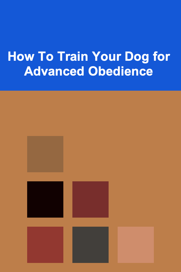 How To Train Your Dog for Advanced Obedience