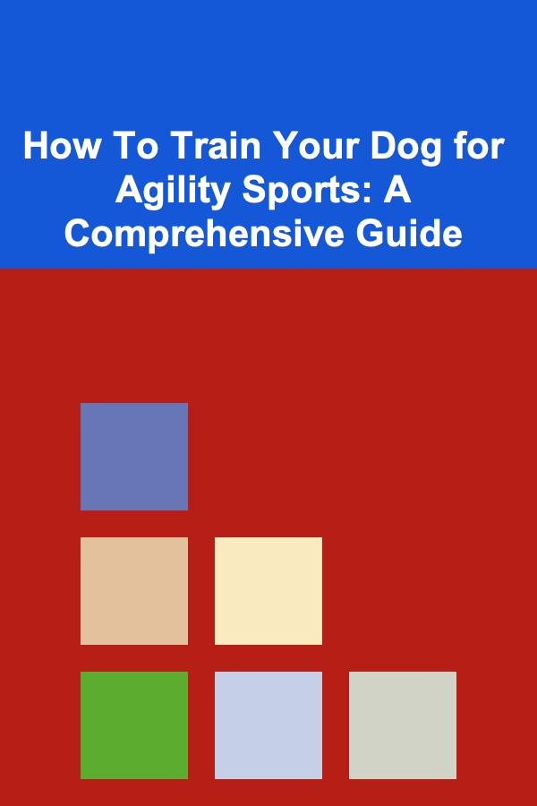How To Train Your Dog for Agility Sports: A Comprehensive Guide