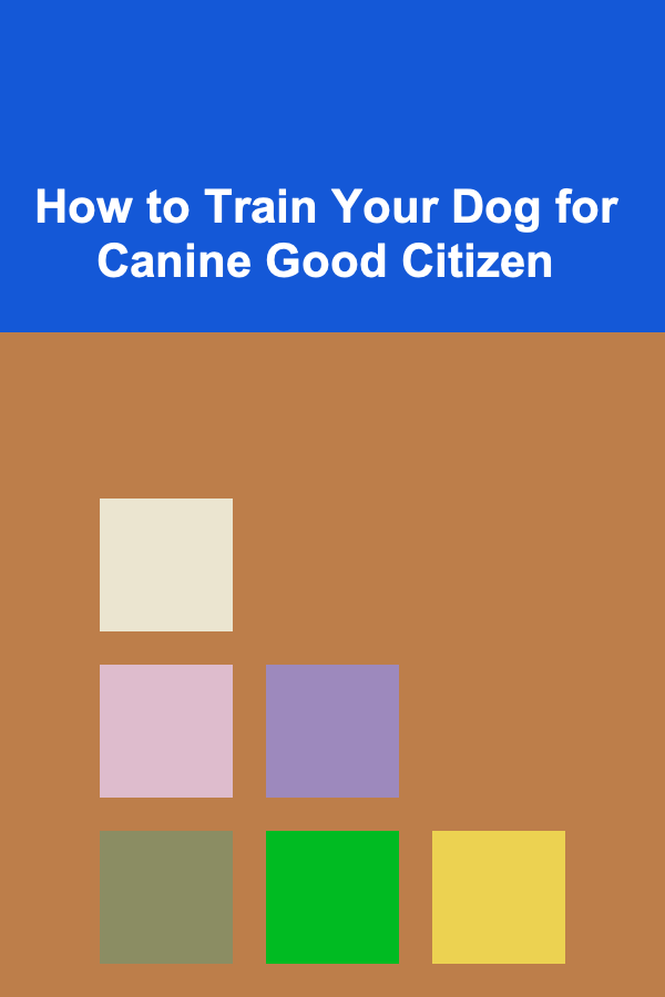 How to Train Your Dog for Canine Good Citizen