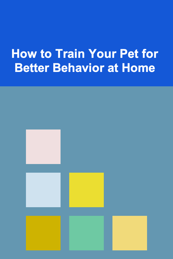 How to Train Your Pet for Better Behavior at Home