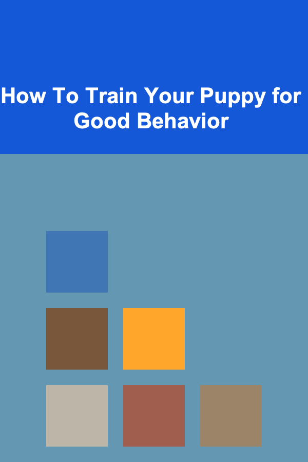 How To Train Your Puppy for Good Behavior