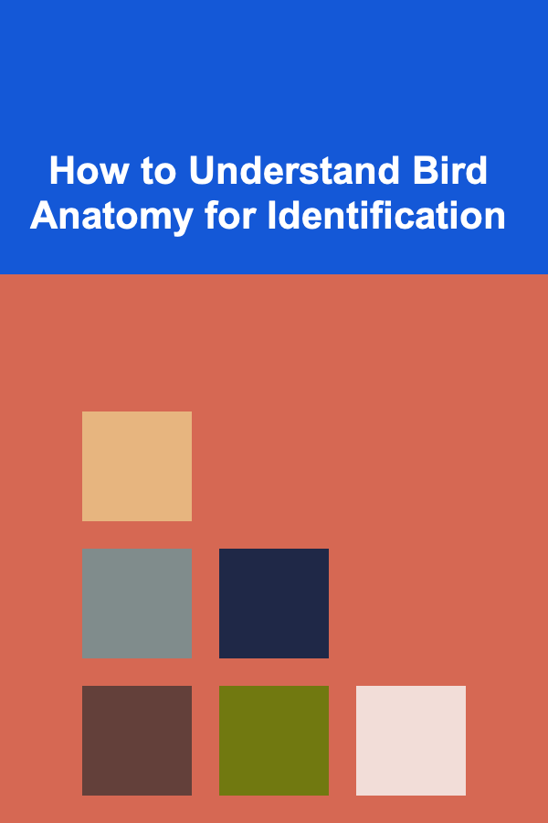 How to Understand Bird Anatomy for Identification