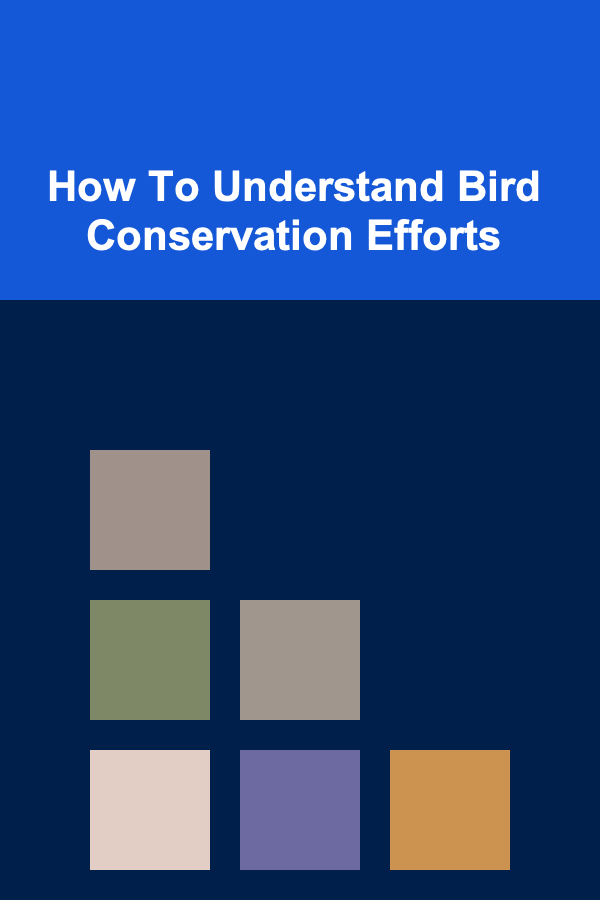 How To Understand Bird Conservation Efforts