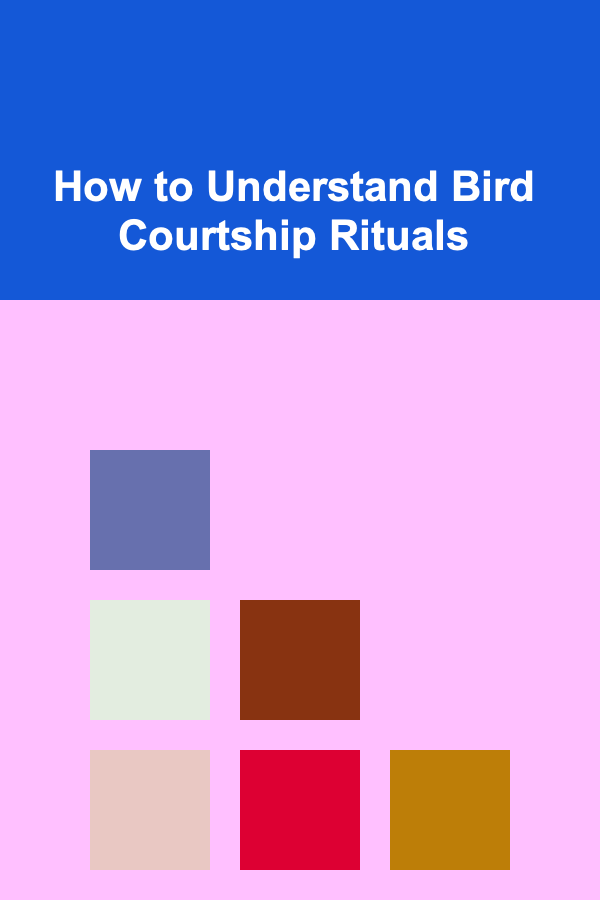 How to Understand Bird Courtship Rituals