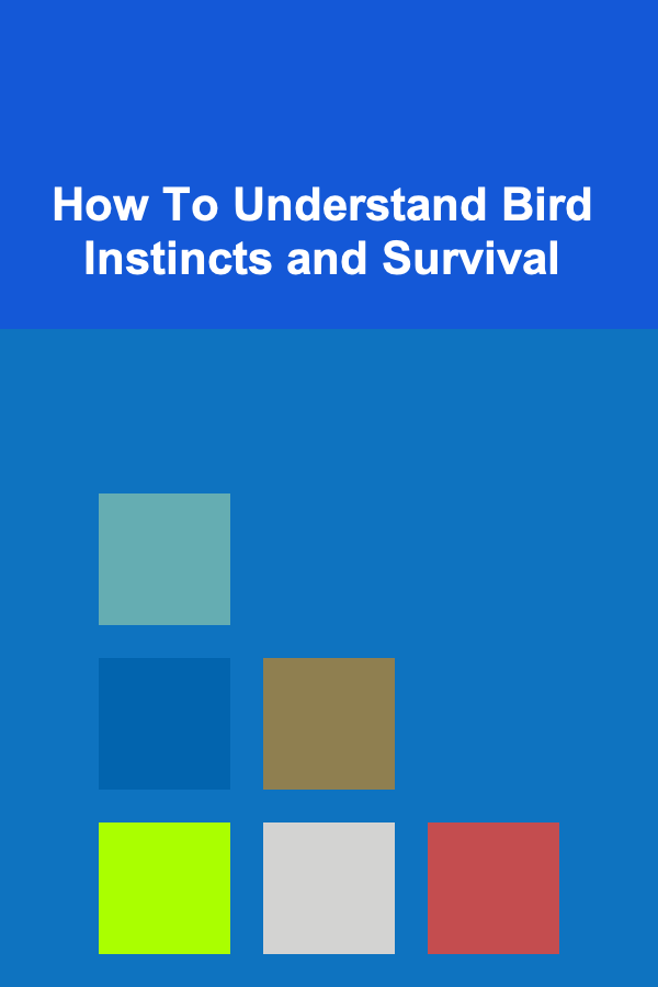 How To Understand Bird Instincts and Survival