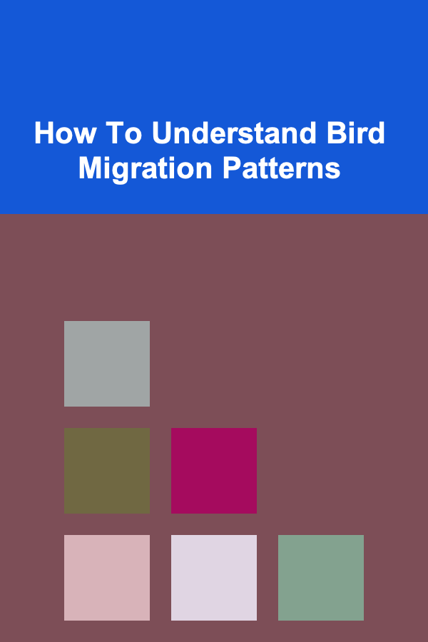 How To Understand Bird Migration Patterns