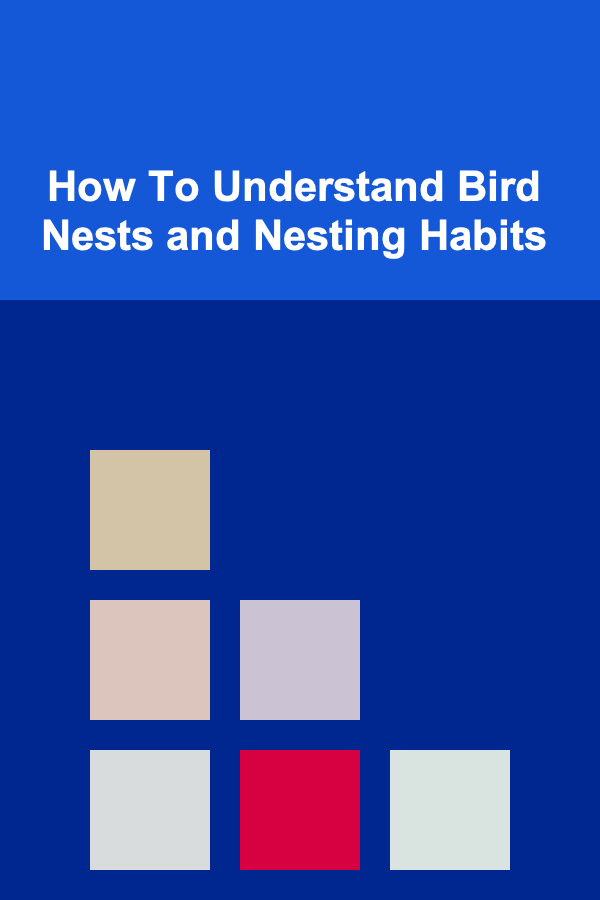 How To Understand Bird Nests and Nesting Habits