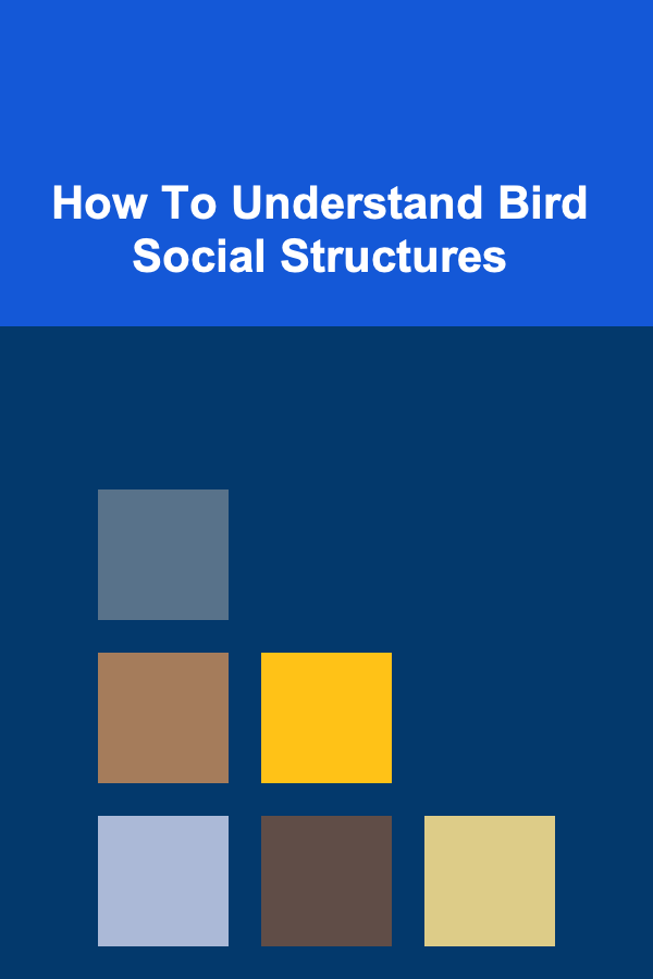How To Understand Bird Social Structures