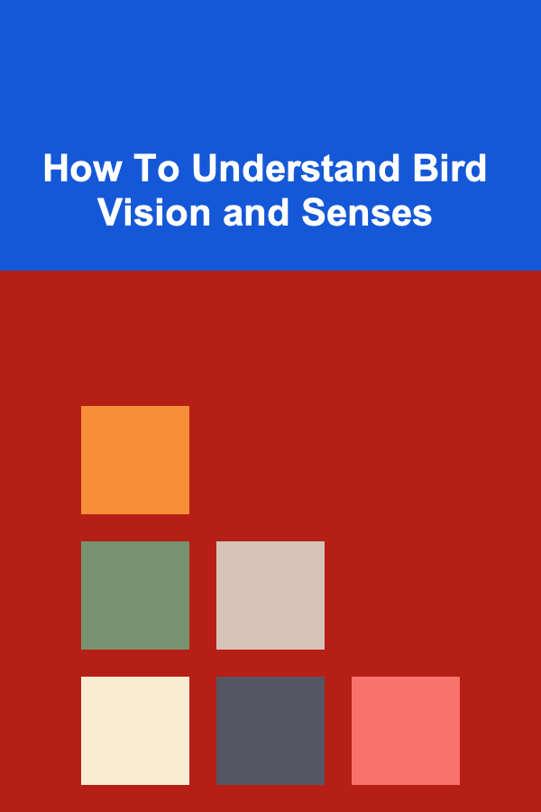 How To Understand Bird Vision and Senses