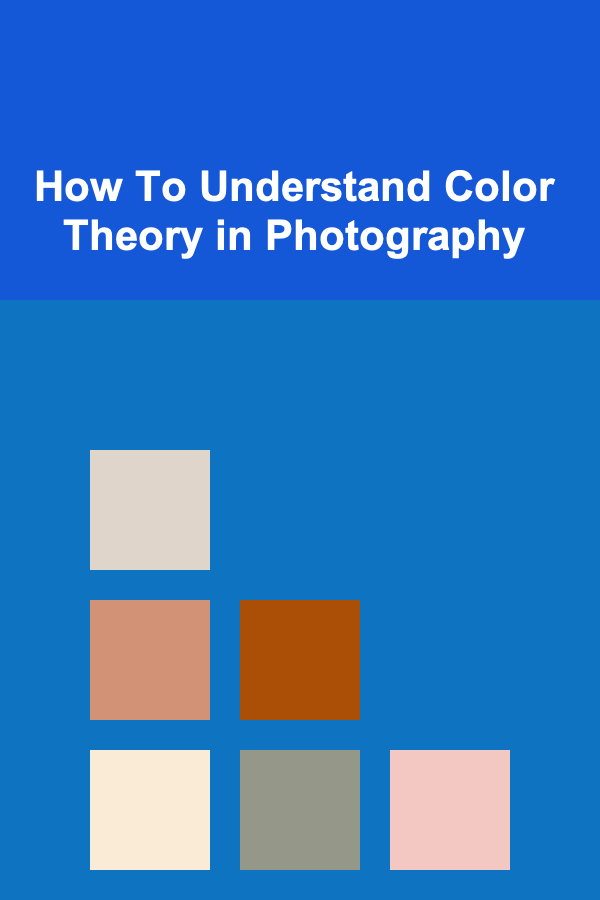How To Understand Color Theory in Photography