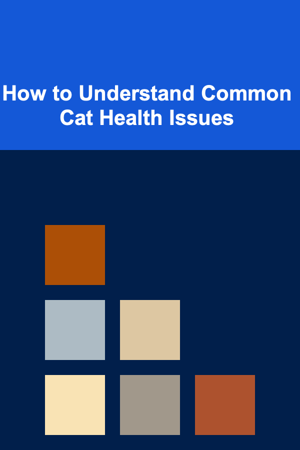 How to Understand Common Cat Health Issues