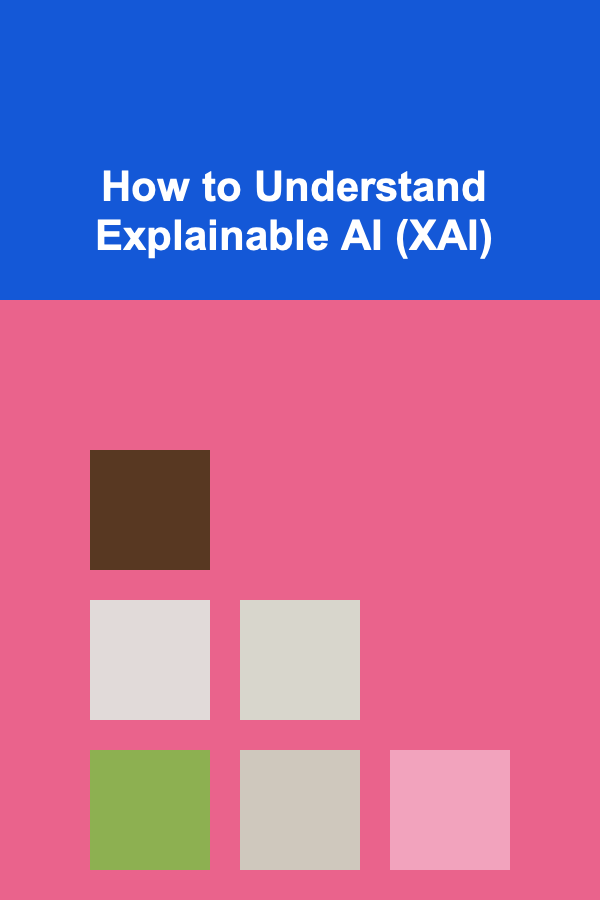 How to Understand Explainable AI (XAI)