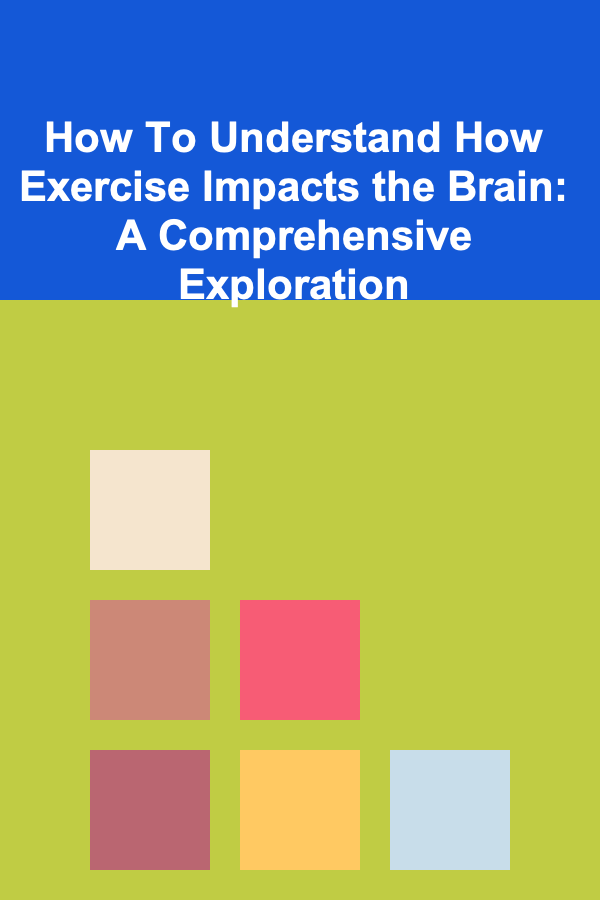 How To Understand How Exercise Impacts the Brain: A Comprehensive Exploration