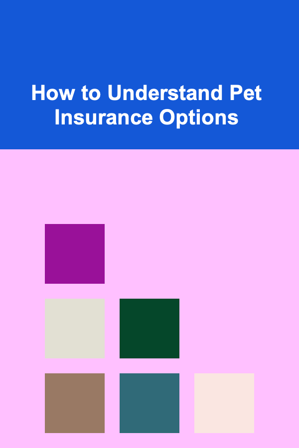 How to Understand Pet Insurance Options