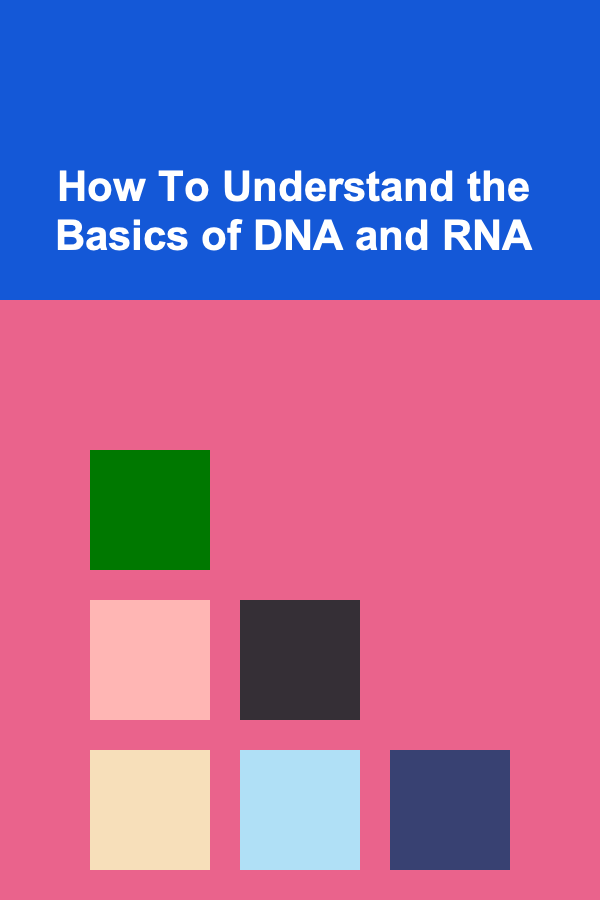 How To Understand the Basics of DNA and RNA
