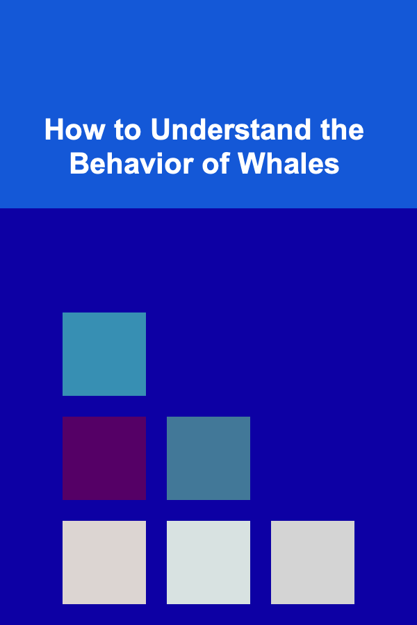 How to Understand the Behavior of Whales