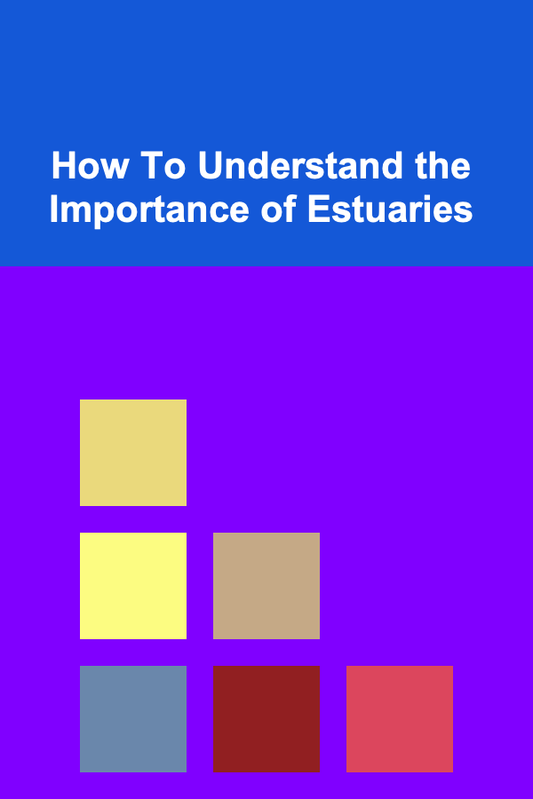 How To Understand the Importance of Estuaries