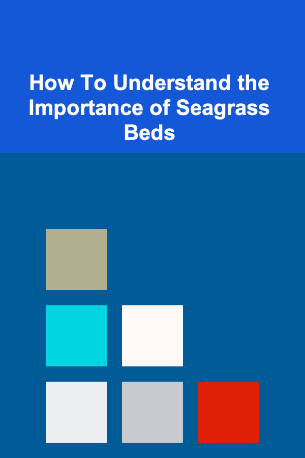 How To Understand the Importance of Seagrass Beds