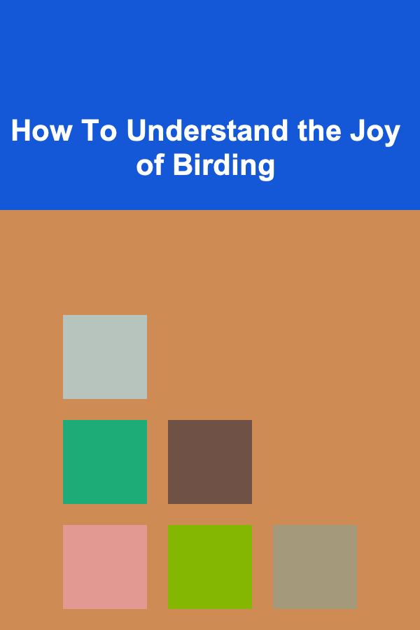 How To Understand the Joy of Birding