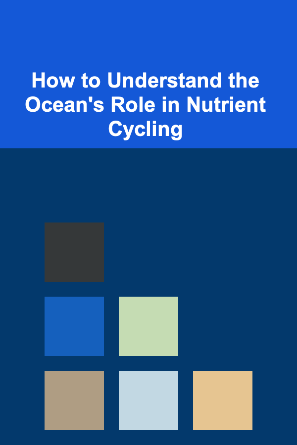 How to Understand the Ocean's Role in Nutrient Cycling