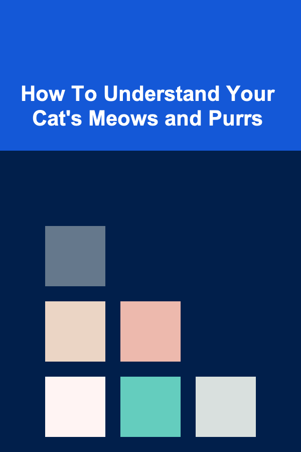 How To Understand Your Cat's Meows and Purrs