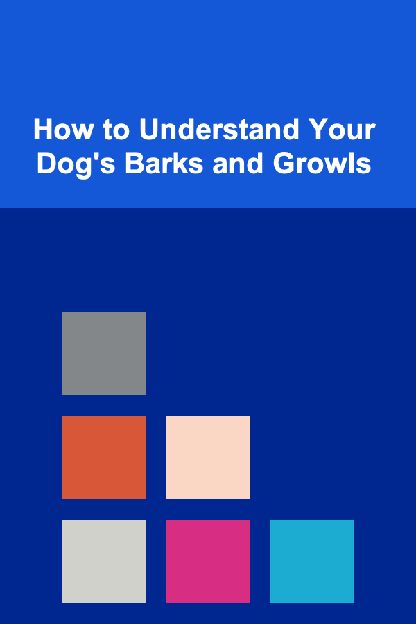 How to Understand Your Dog's Barks and Growls