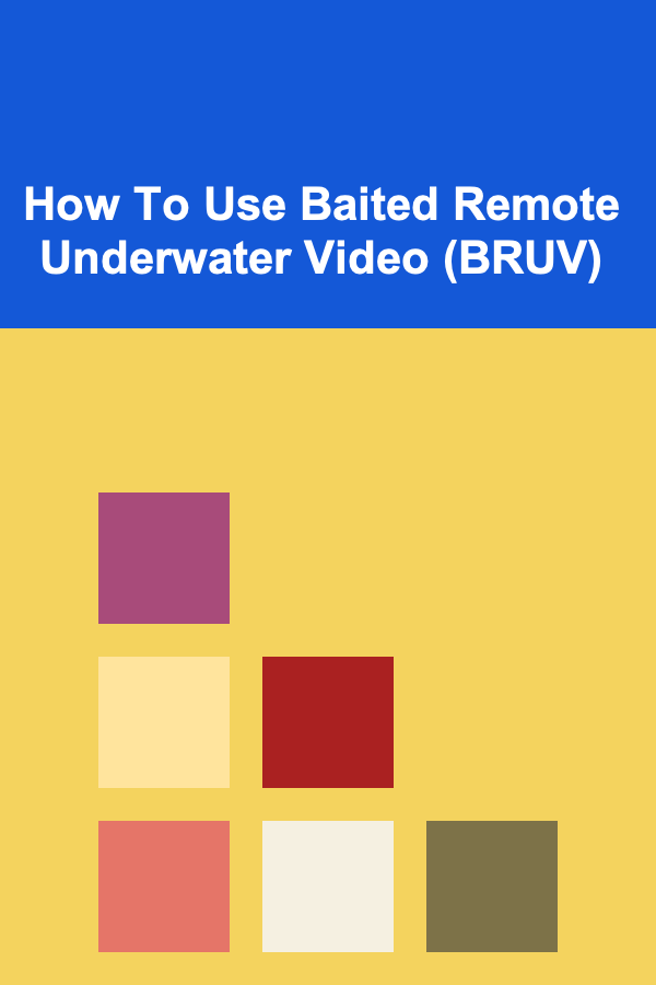How To Use Baited Remote Underwater Video (BRUV)