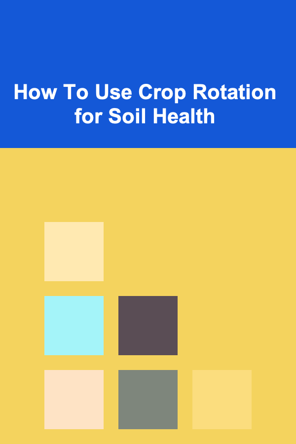 How To Use Crop Rotation for Soil Health