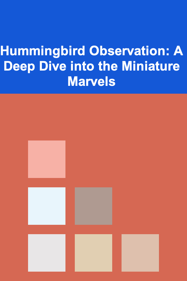 Hummingbird Observation: A Deep Dive into the Miniature Marvels