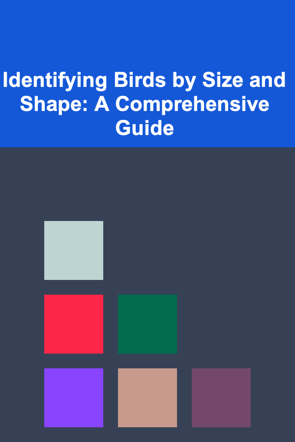 Identifying Birds by Size and Shape: A Comprehensive Guide