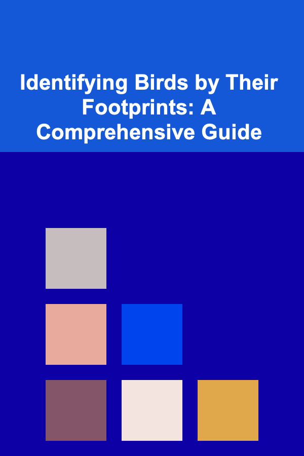 Identifying Birds by Their Footprints: A Comprehensive Guide