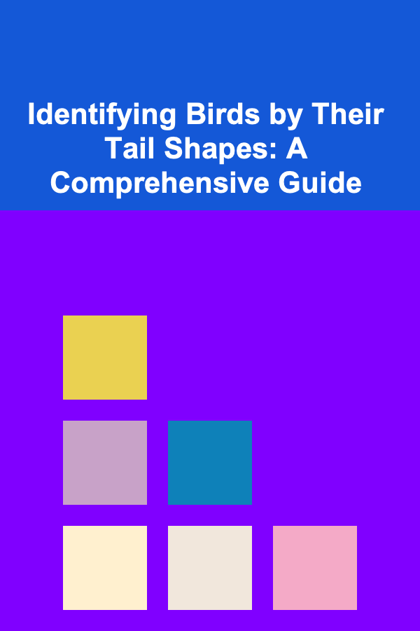 Identifying Birds by Their Tail Shapes: A Comprehensive Guide