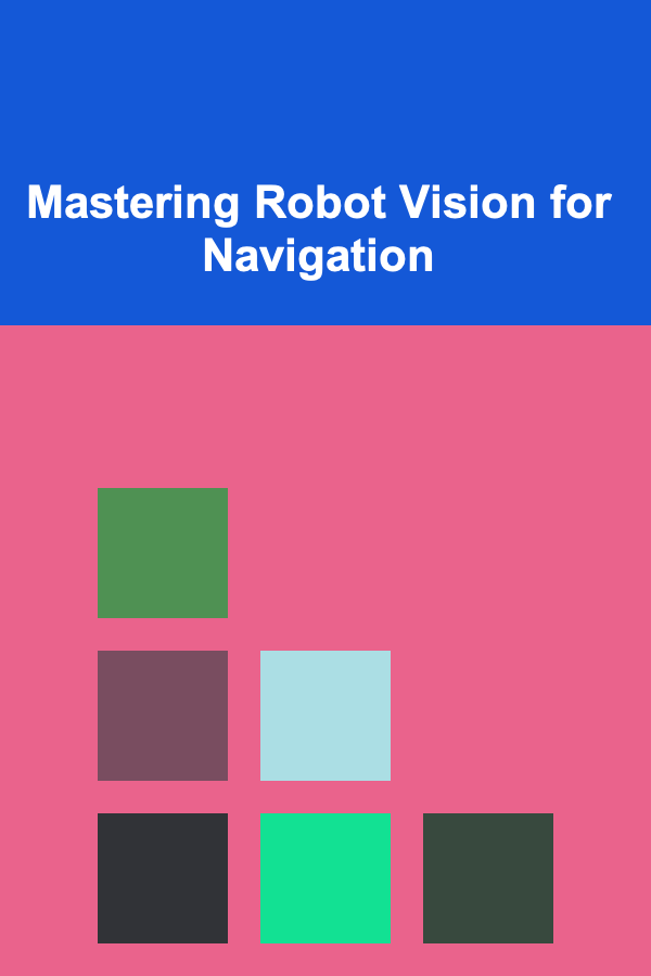Mastering Robot Vision for Navigation