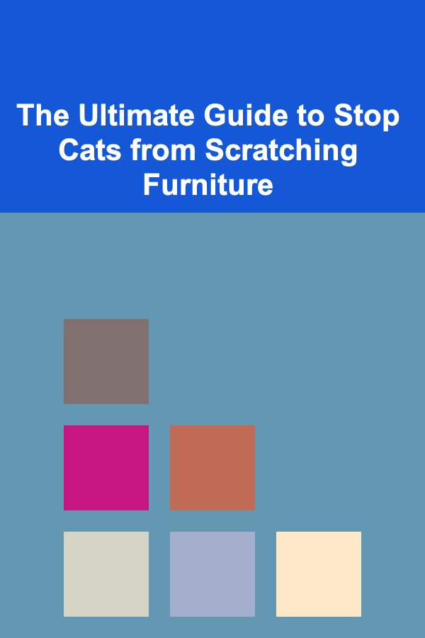 The Ultimate Guide to Stop Cats from Scratching Furniture