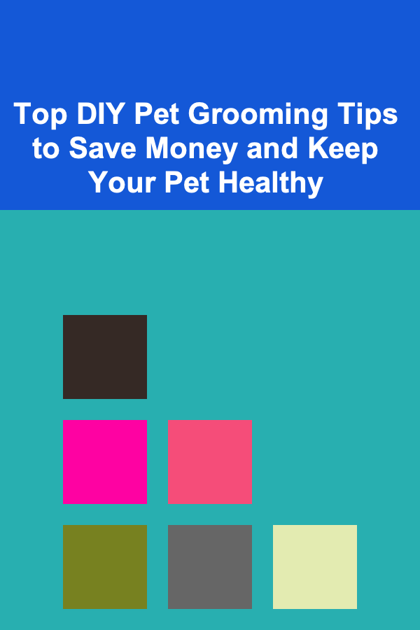 Top DIY Pet Grooming Tips to Save Money and Keep Your Pet Healthy