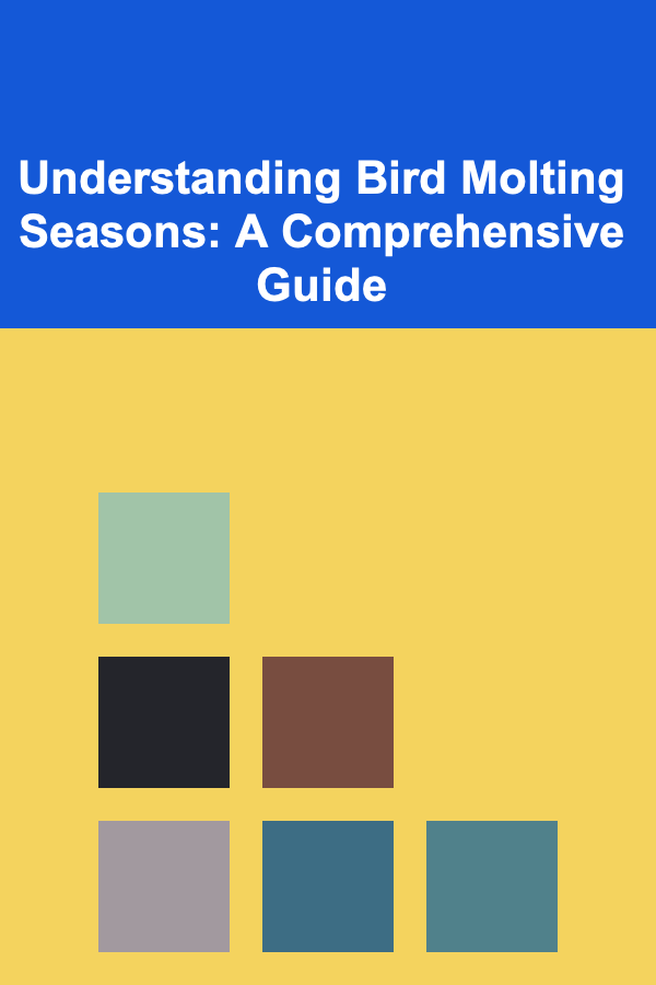 Understanding Bird Molting Seasons: A Comprehensive Guide