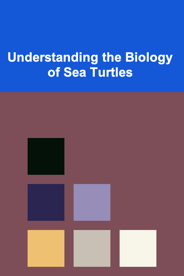 Understanding the Biology of Sea Turtles