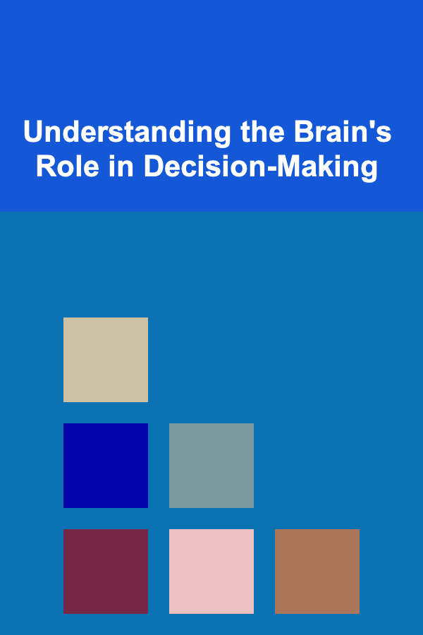 Understanding the Brain's Role in Decision-Making