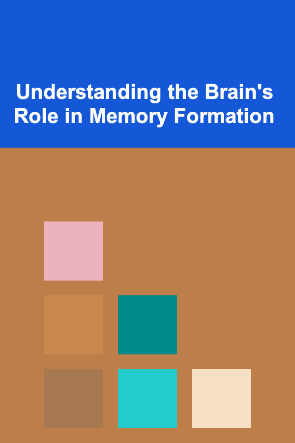 Understanding the Brain's Role in Memory Formation