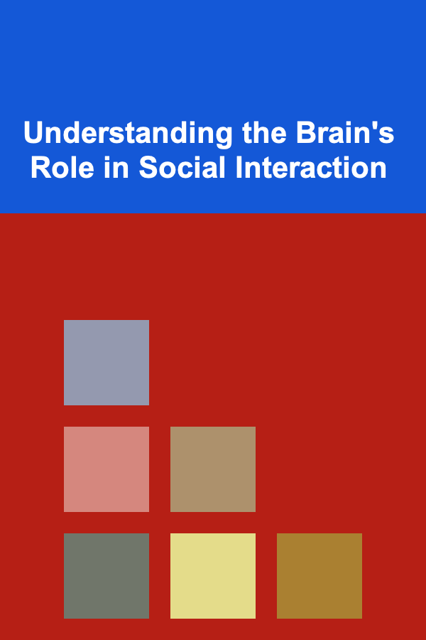Understanding the Brain's Role in Social Interaction
