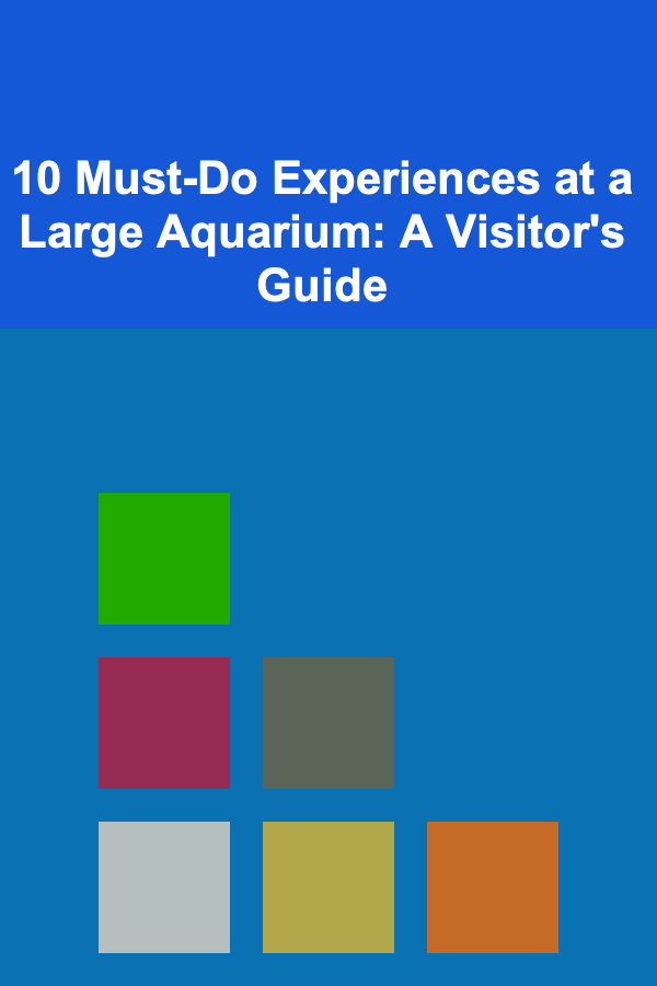 10 Must-Do Experiences at a Large Aquarium: A Visitor's Guide